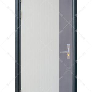 Cửa thép vân gỗ Deluxe KD-1.06